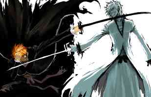ichigo fighting soul reaper