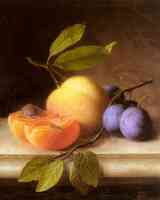 still life of peaches and plums