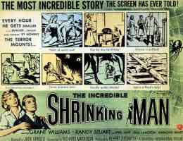 THE INCREDIBLE SHRINKING MAN landscape
