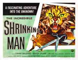 the incredible shrinking man
