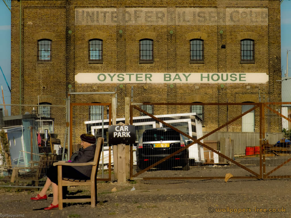 Oyster Bay House And Old Lady