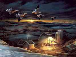 ducks in flight over farm at night