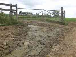 farm gate with mud cracked path