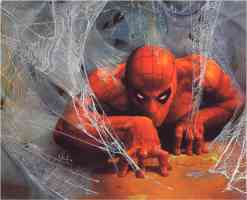 web of spider man
