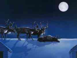 sleeping on the job reindeer
