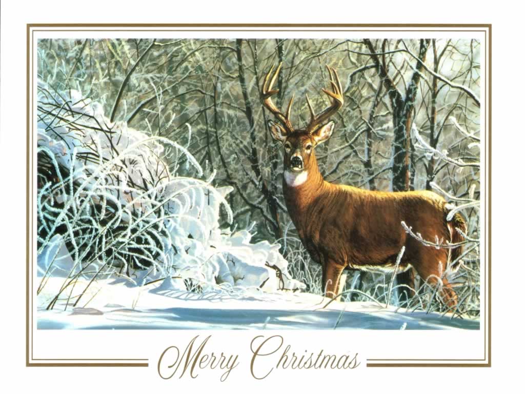 1024x768px Christmas Deer Wallpaper - WallpaperSafari