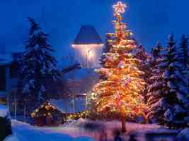 Clock Tower and Christmas Tree