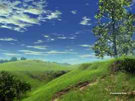 Cocoonia  Greenest Hills