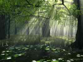 The Forest by Digitalblasphemy