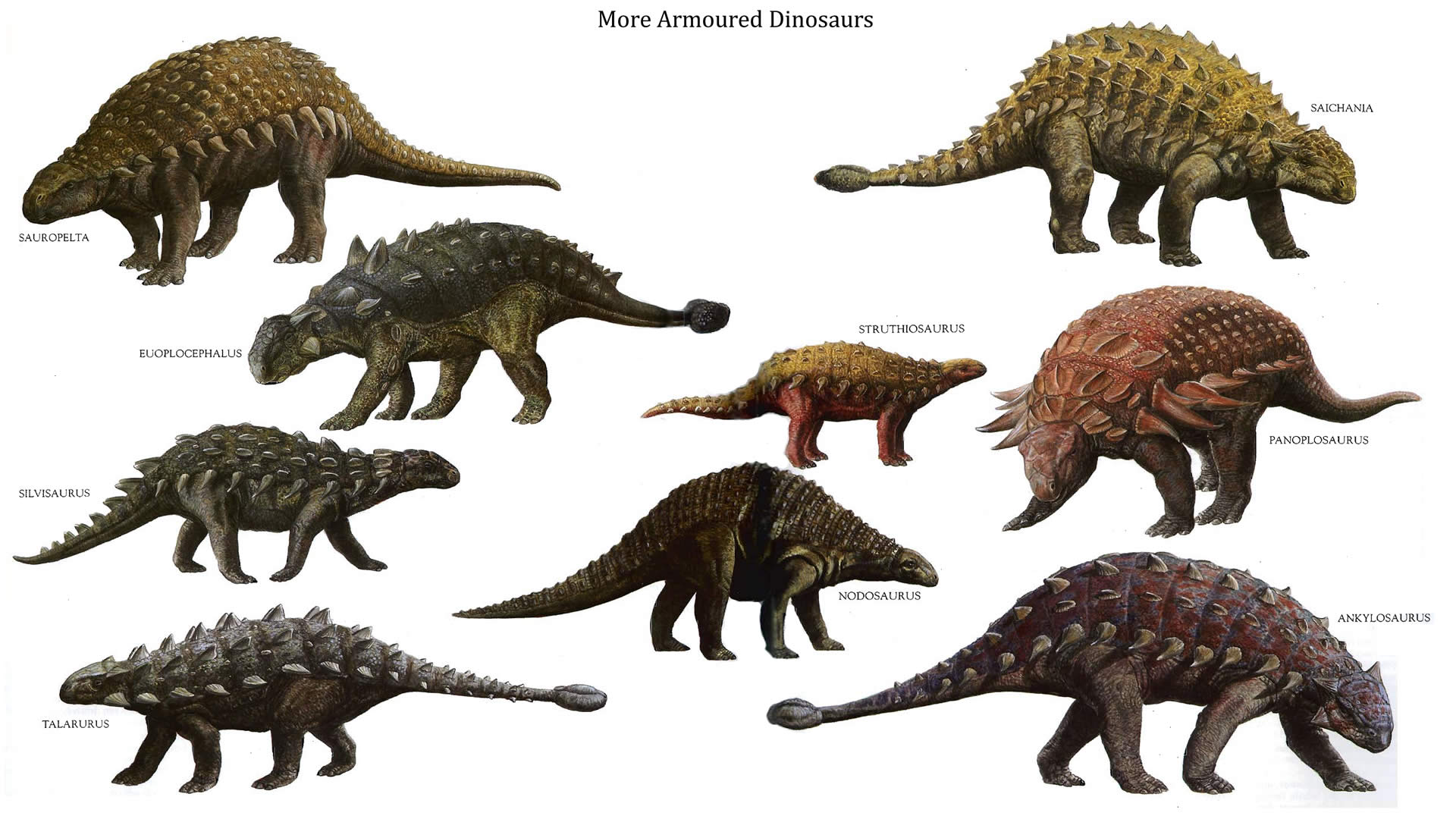 Dinosaurs For Ks1 And Ks2 Children Dinosaurs Homework Help