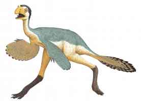 caudipteryx