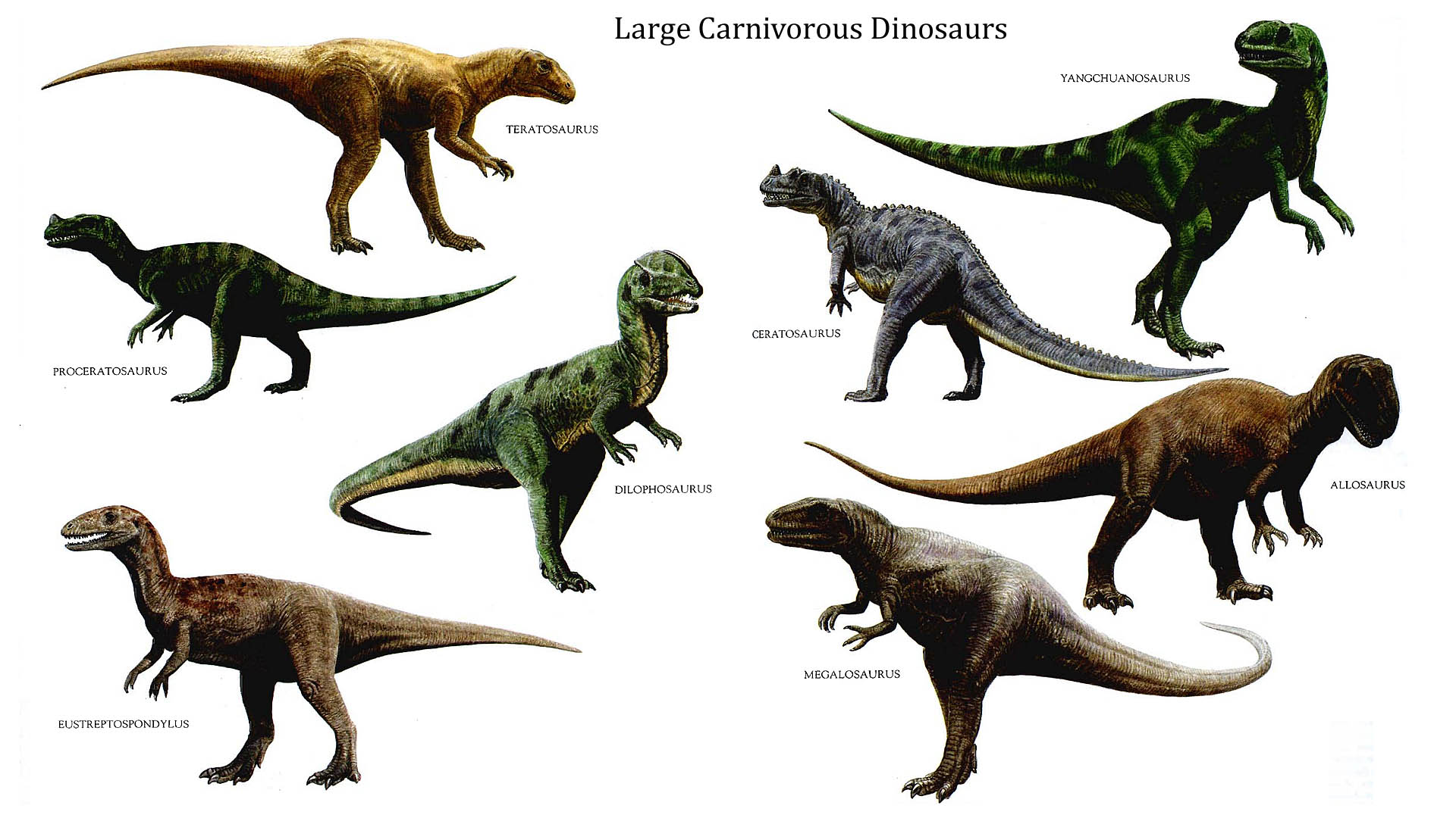 Dinosaur Names And Pictures Chart