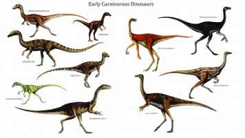 early carnivorous dinosaurs