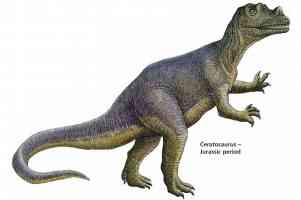 jurassic period ceratosaurus