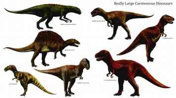 really large carnivorous dinosaurs