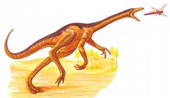 struthiomimus catching a bug