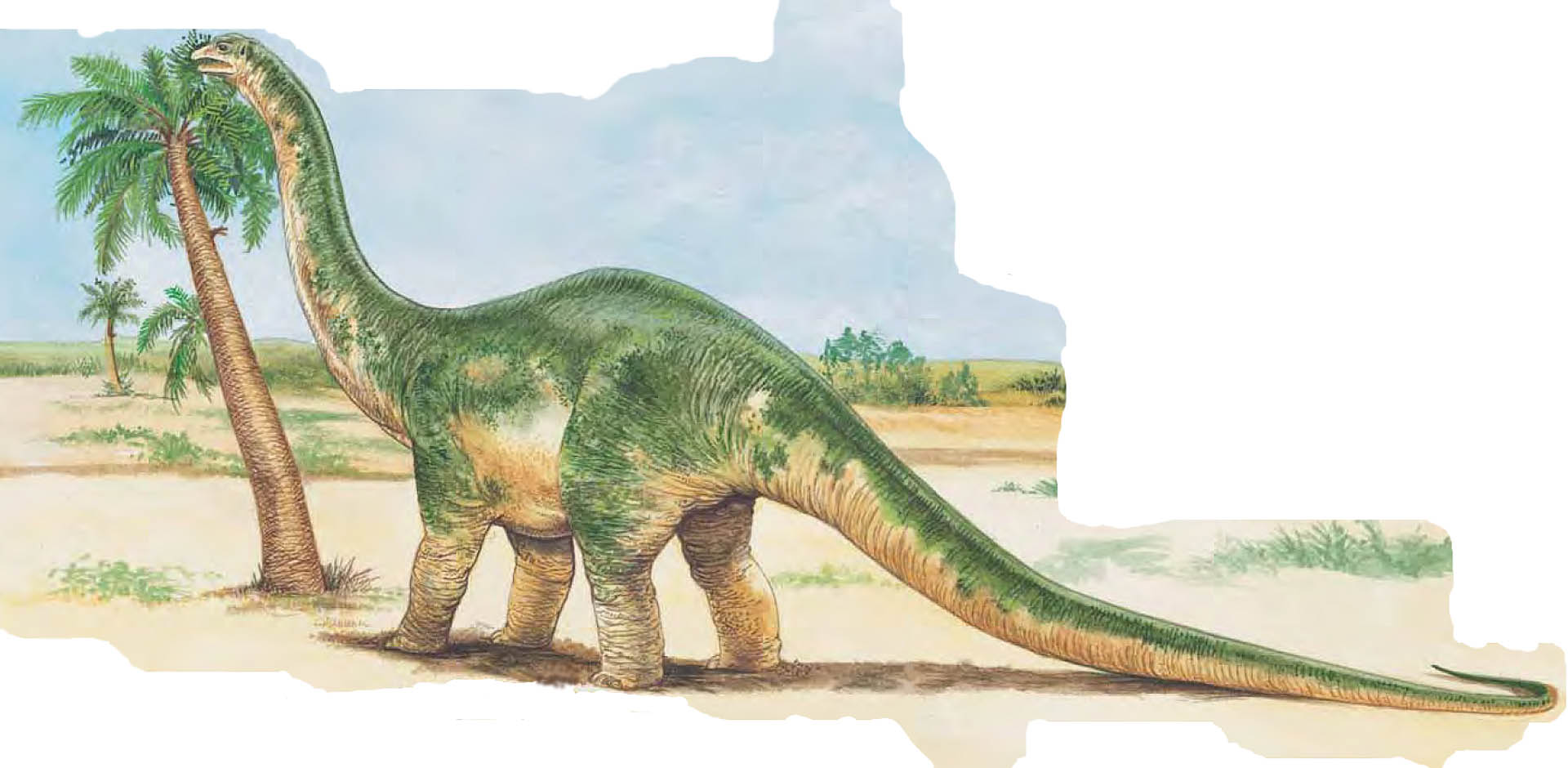 Апатозавр Диплодок Бронтозавр