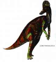 corythosaurus