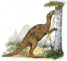 hadrosaurus eating leaves from a high tree