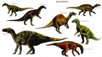 iguanodonts