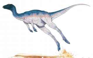 jumping zephyrosaurus