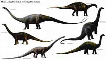 long necked browsing dinosaurs 2