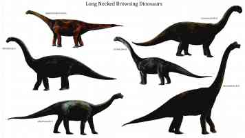 long necked browsing dinosaurs