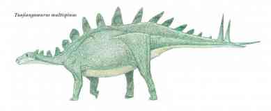 multi spined stegosaurus 2