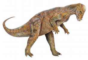 pachycephalosaurus head swiper