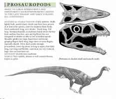 plateosaurus skeleton and muscles