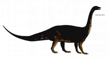 riojasaurus