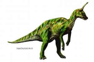 tsintaosaurus