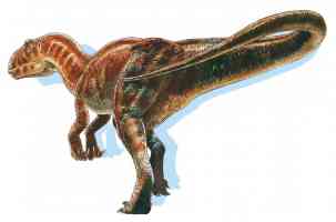 carnivorous carcharodontosaurus