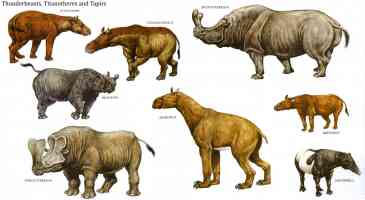 thunder beasts titanotheres and tapirs