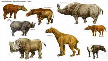 thunder beasts titanotheres and tapirs