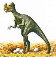 oviraptor egg stealer