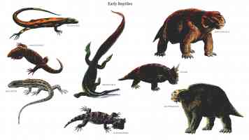 early reptiles