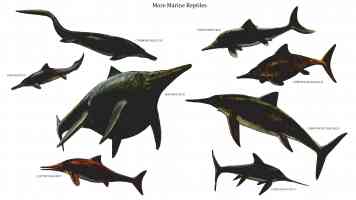marine reptiles 2