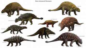 armoured dinosaurs 2