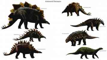 armoured dinosaurs
