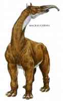 macrauchenia horse giraffe elephant