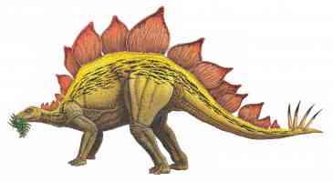 stegosaurus with spine fins