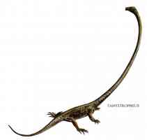 tanystropheus long necked lizard