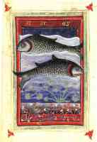 15th century drawing of pisces