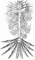 17th century diagram of qabbalistic sephirothic tree