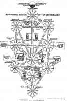 tree of life and the divine names