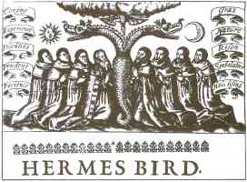 hermes bird