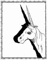 amdusias the unicorn