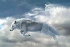 white wolf in the sky