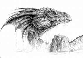dragon head sketch